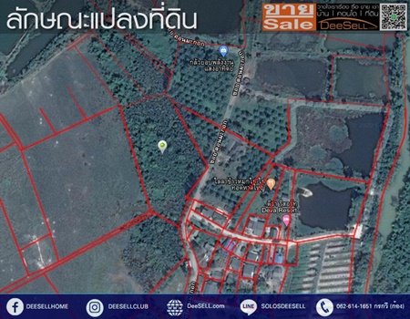 ขายที่ 6ไร่3งาน73ตรว บ้านดอนมะกอก ทางเกวียน ใกล้ถ.สุขุมวิท 2,773ตรวๆละ1,983บ เขตผังเมืองสีส้มจุดขาว