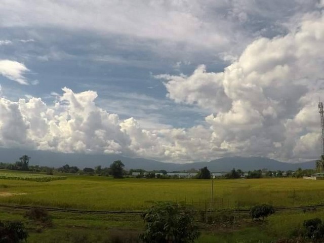 ขายที่ดินนา หลังบ้านเอื้ออาทร ต.หนองหาร เหมาแก่การลงทุน บรรยากาศดี เดินทางสะดวก ในอำเภอสันทราย 