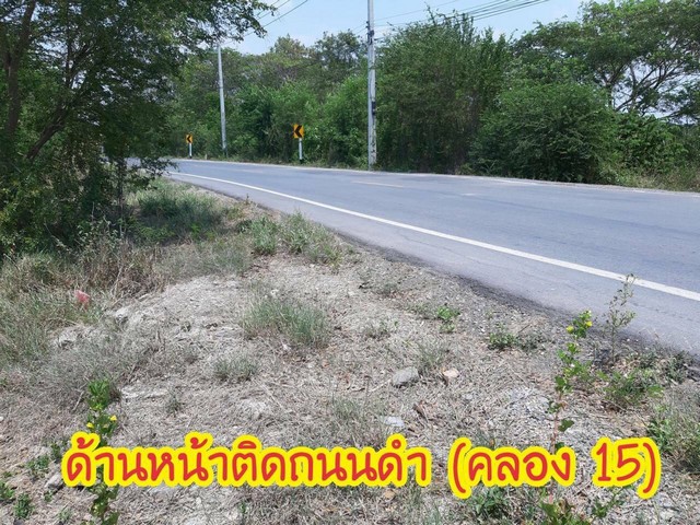 ที่ดินสวยบรรยากาศ​ดี ลำลูกกาคลอง15 ที่ดินหน้าติดถนน ด้านหลังติดคลอง​ ใกล้กรุงเทพฯ​เดินทาง​สะดวก​