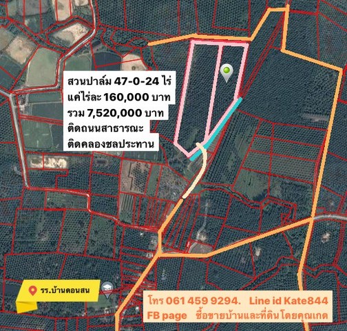 สวนปาล์ม 47-0-24 ไร่. ต.ท่าทอง อ.กาญจนดิษฐ์  ติดคลองชลประทาน. ติดถนนสาธารณะ 