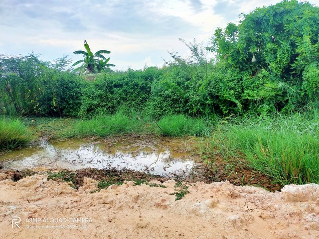 ขายที่ดิน แปลงเล็ก รูปที่สวย เนื้อที่ 100 ตรว ถมแล้วทั้งแปลง บางปลากด องครักษ์ นครนายก