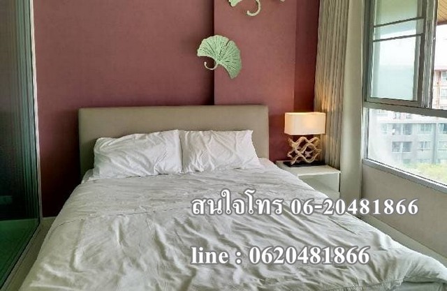 T00043ให้เช่า D Condo Campus หลัง มช. วิวสวย เห็นสวน สระว่ายน้ำ ราคา 8,000 บาท/เดือน 