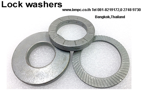 Spring washer, Curved washer, Locking edge washer, Toothed  washer, Locking Disc spring, Contact washer, Tab washer, Retaining ring , E Ring, Snap ring, Fixing washer , Safety washer