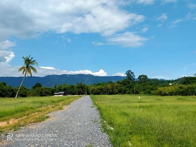 ขายที่ดินวิวเขา ต.ชะอม อ.แก่งคอย จ.สระบุรี รูปที่สวย ที่ไม่ต้องถม มีเพื่อนบ้านไฟฟ้า ประปา