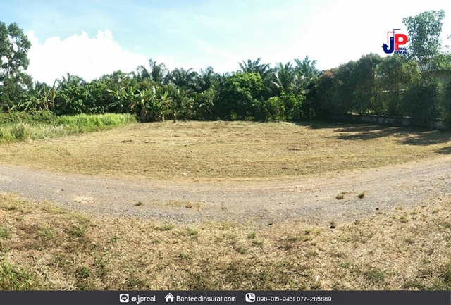 ขาย ที่ดินถมแล้ว 262วา รูปแปลงสี่เหลี่ยม ซ.อุดมสุข ต.ขุนทะเล สุราษฎร์ธานี กว้าง30ม ใกล้ม.ราชภัฎ7นาที