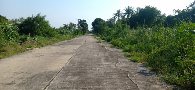 ขายด่วน ที่ดินทำเลทองเเปลงใหญ่  บนเนื้อที่ 60 ไร่ ในบางใหญ่   จังหวัดนนทบุรี  