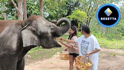 Elephant Care Samui