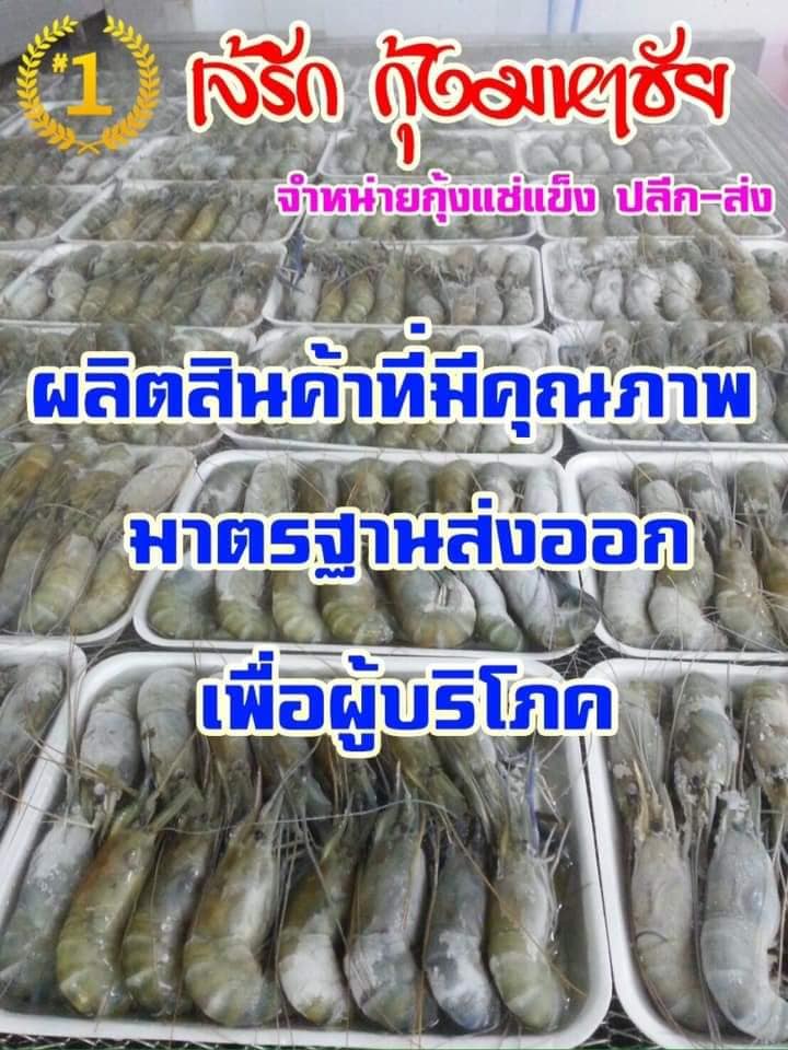 เจ้รัก กุ้งมหาชัย