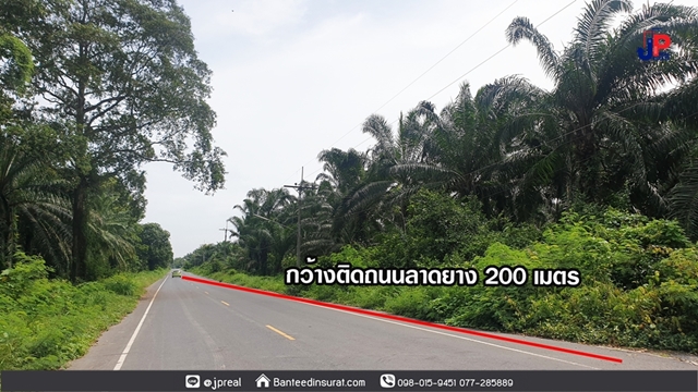 ขาย ที่ดิน 16ไร่เศษ กว้าง200เมตร ลึก152เมตร ใกล้แยกท่าสน ถนนทุ่งใหญ่ สุราษฎร์ธานี เหมาะทำแบ่งล็อคขาย