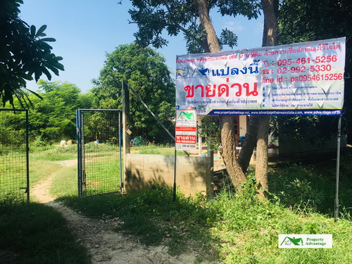 ขายที่ดิน+บ้าน เนื้อที่ 2 ไร่ ทำเลดี  ต.บางระกำ   อ.โพธิ์ทอง จ.อ่างทอง 