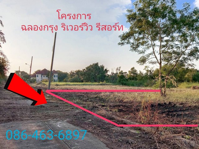 โครงการ ฉลองกรุงริเวอร์วิล รีสอร์ท ขายต่ำกว่าราคาประเมิน มอบของขวัญส่งท้ายปี